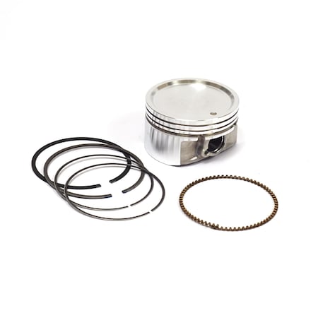 Briggs & Stratton PISTON ASSY 843792